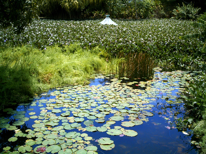 28 - Jardin des eaux 024.jpg